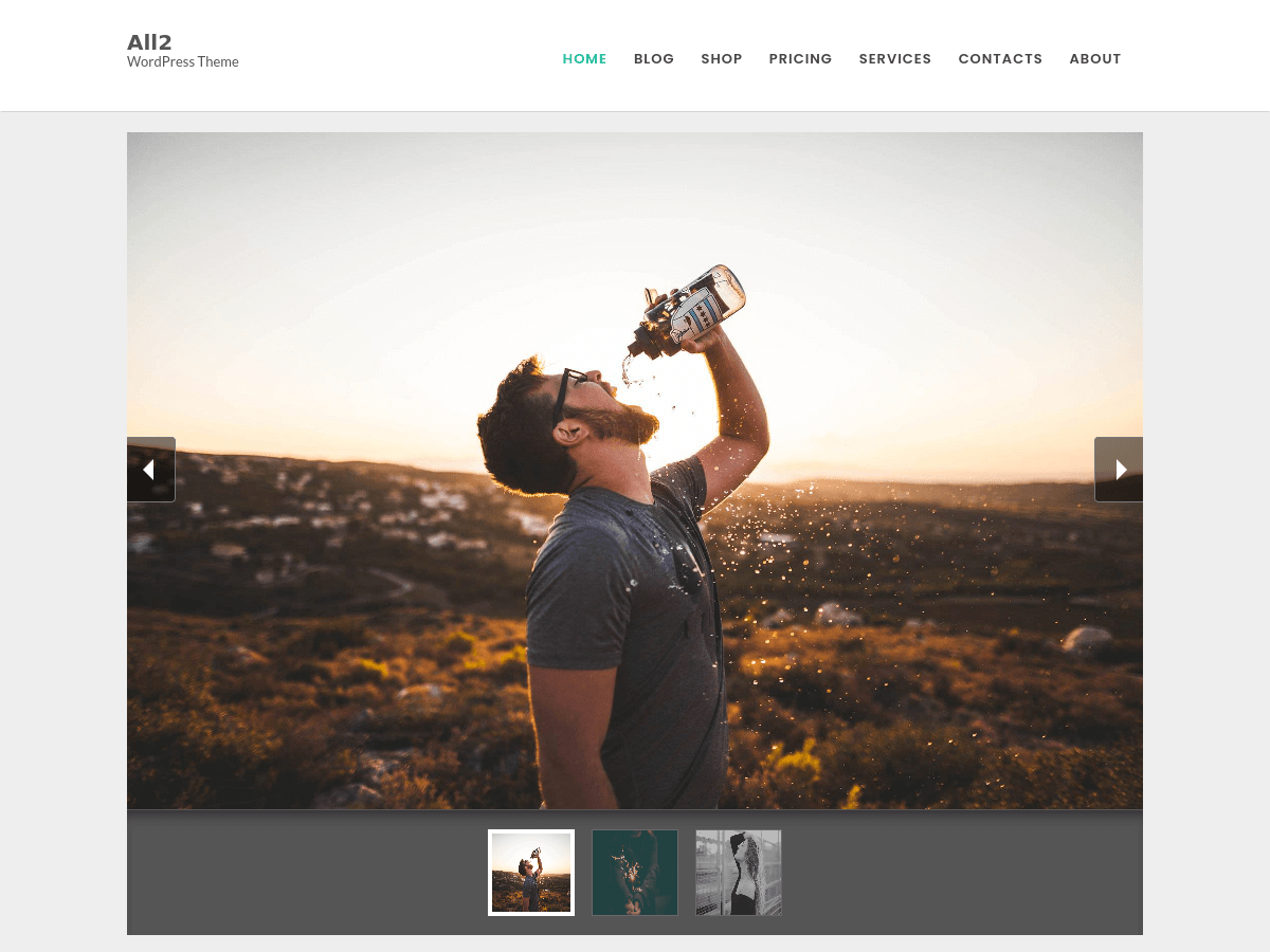 All2 theme screenshot