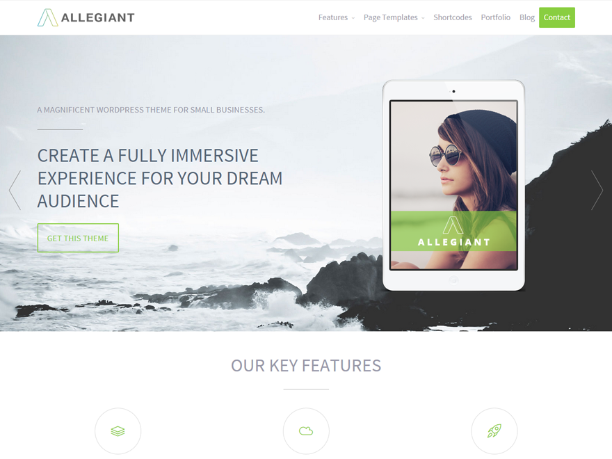 Allegiant theme screenshot