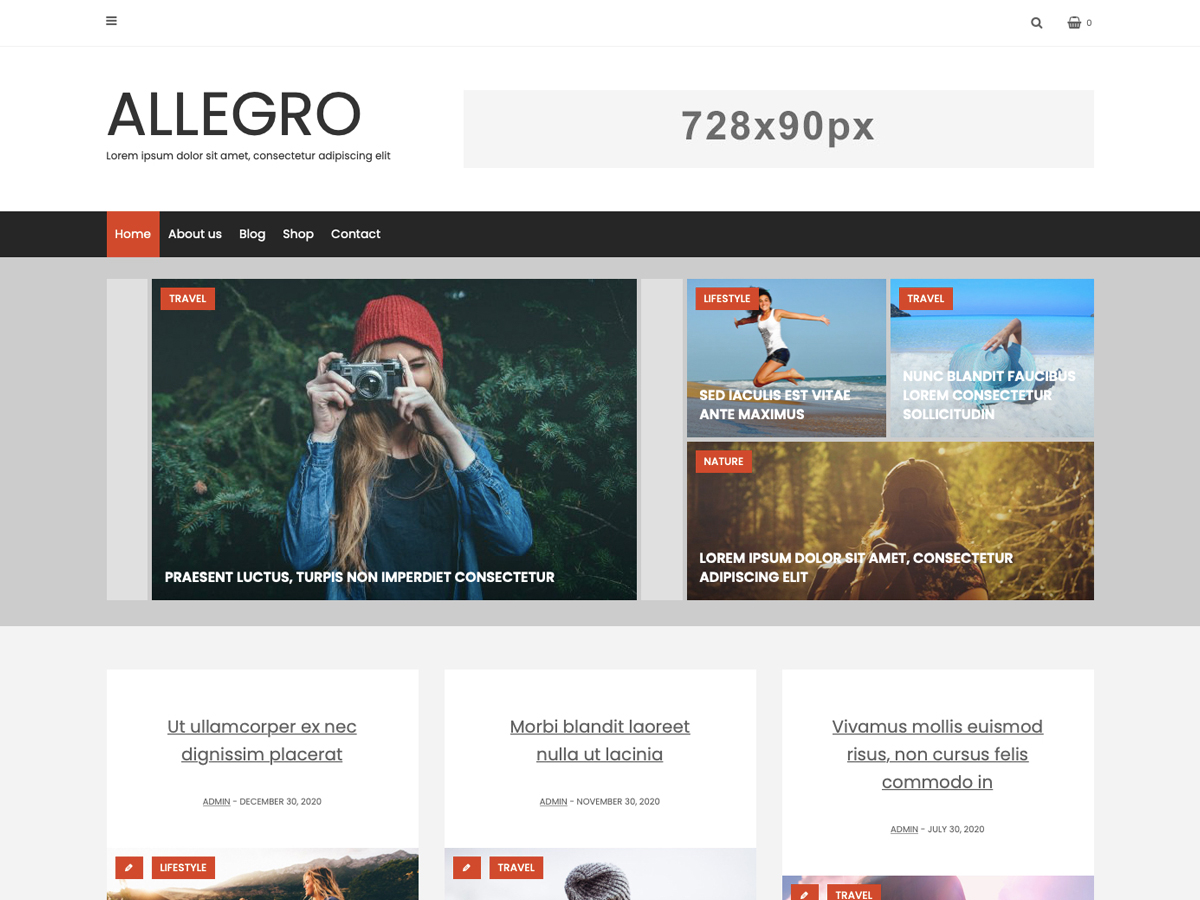 Allegro theme screenshot