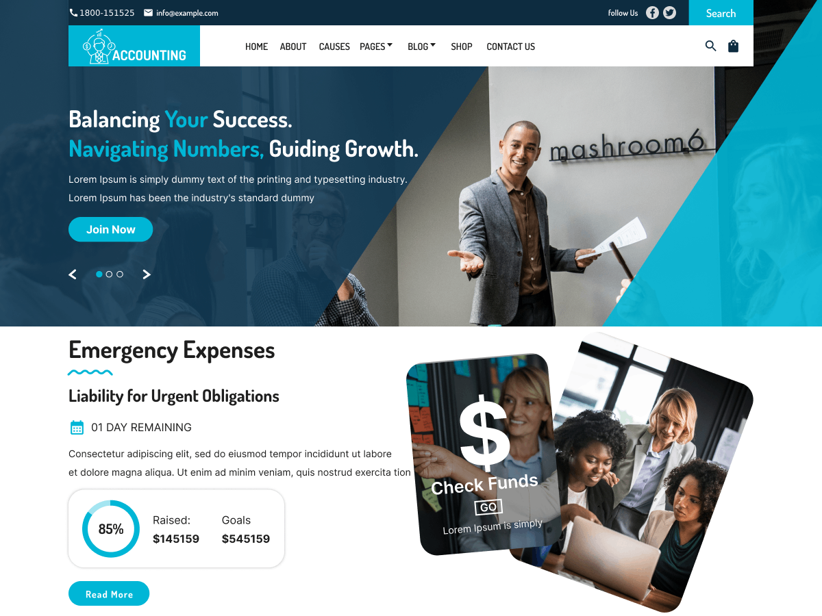 Alpha Accounting theme screenshot