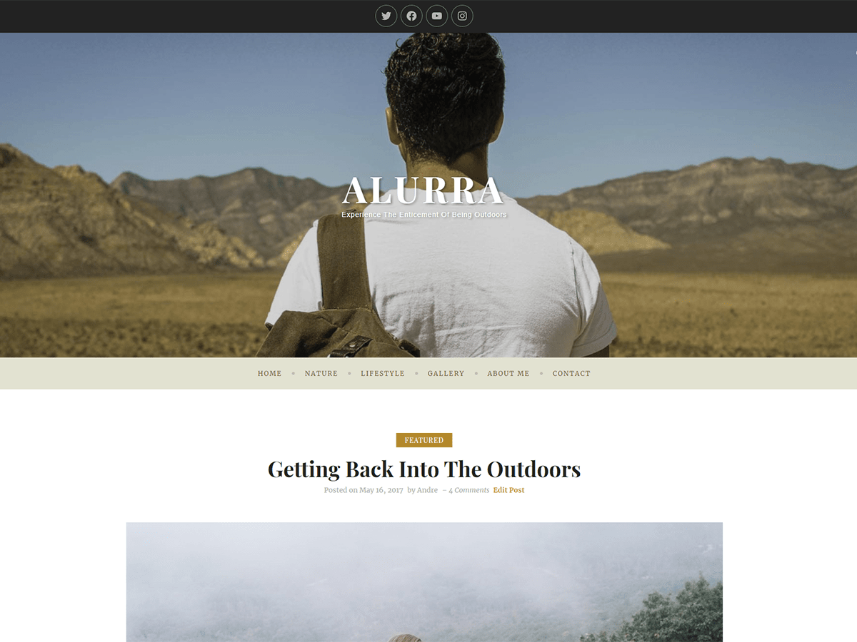 Alurra theme screenshot