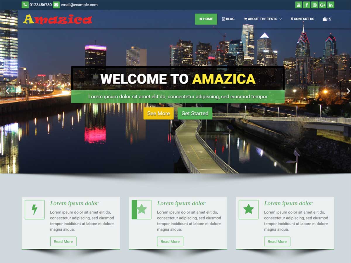 Amazica Business theme screenshot