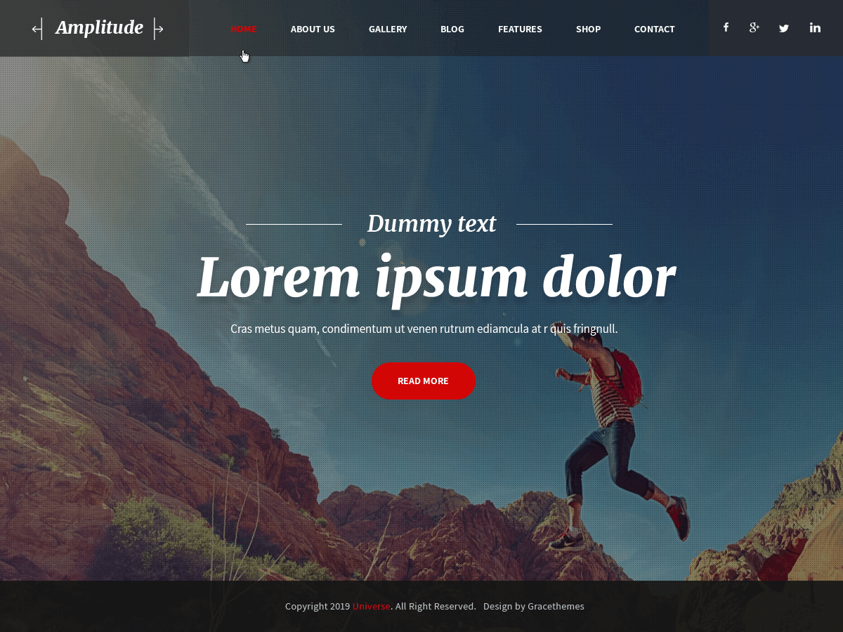 Amplitude theme screenshot