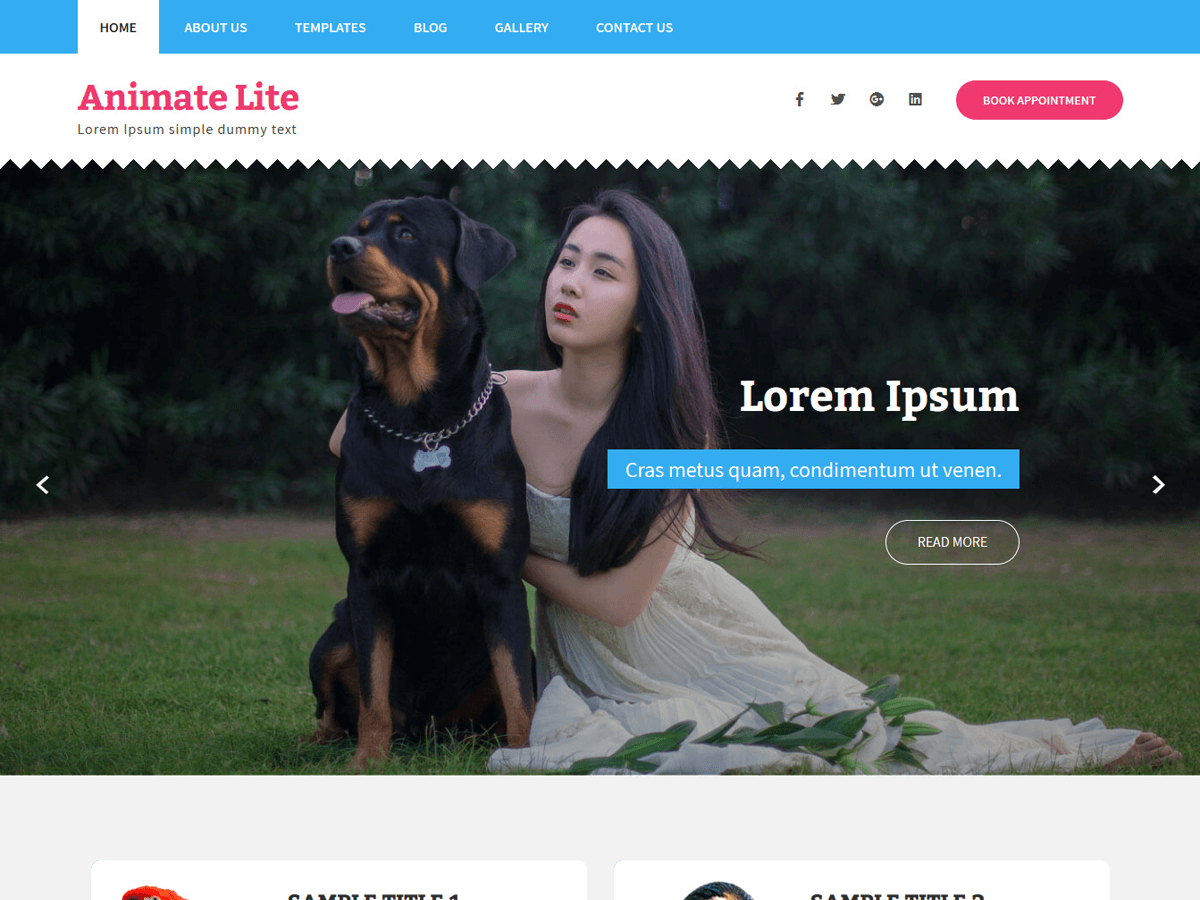 Animate Lite theme screenshot