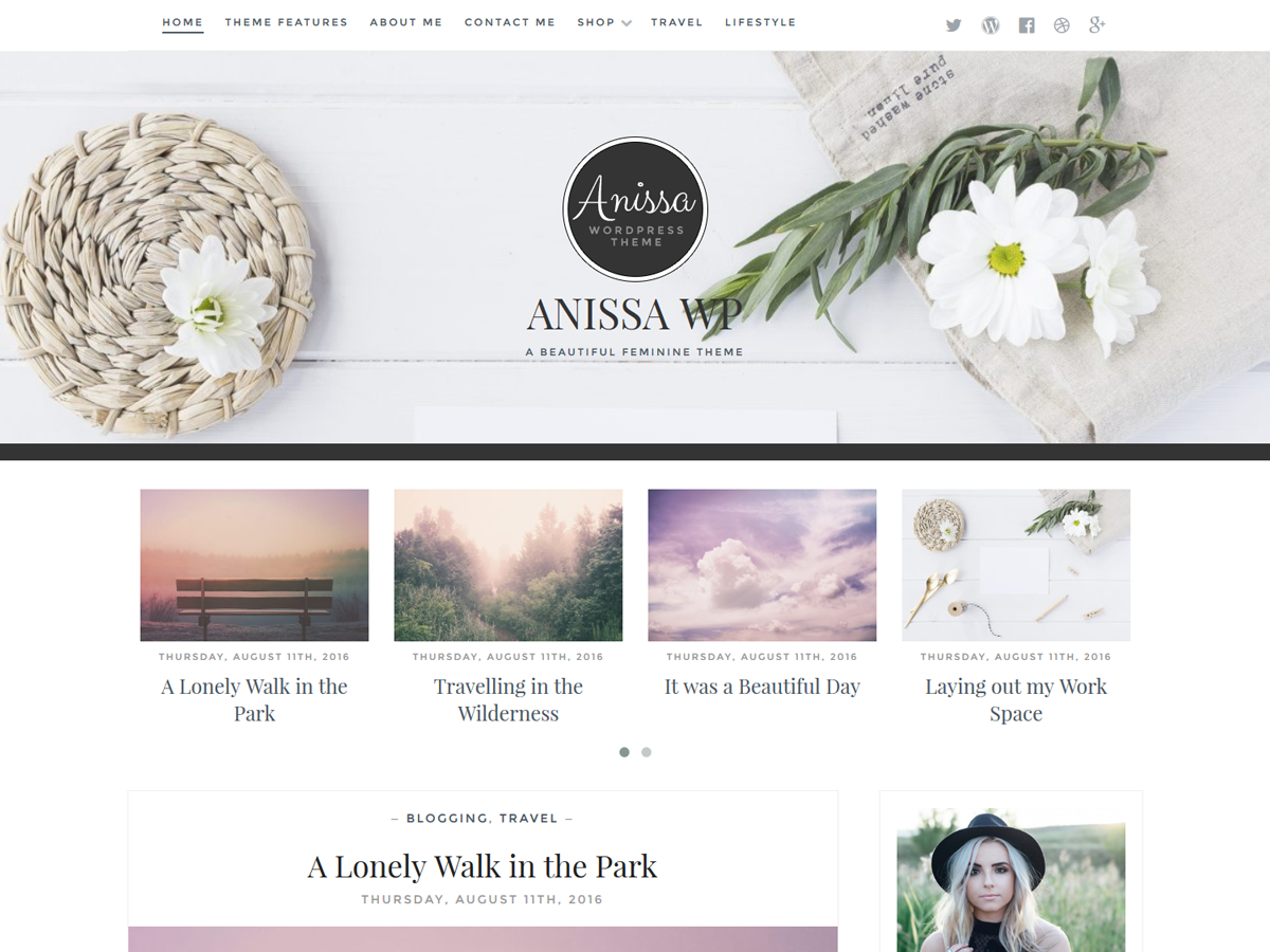 Anissa theme screenshot