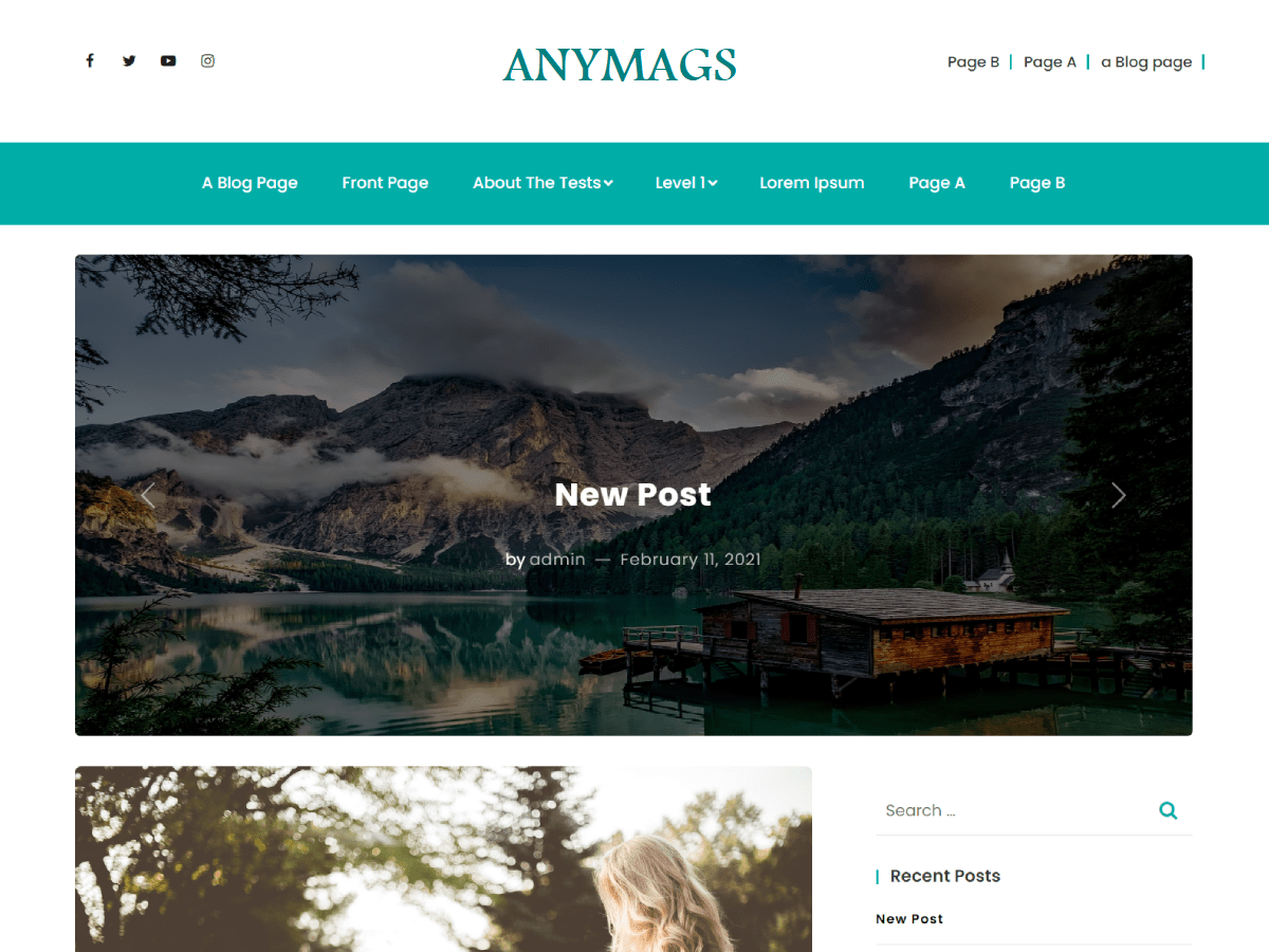 Anymags theme screenshot