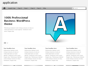 application theme screenshot