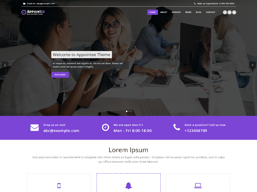 Appointee theme screenshot