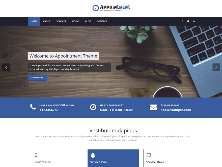 Appointment Blue theme screenshot
