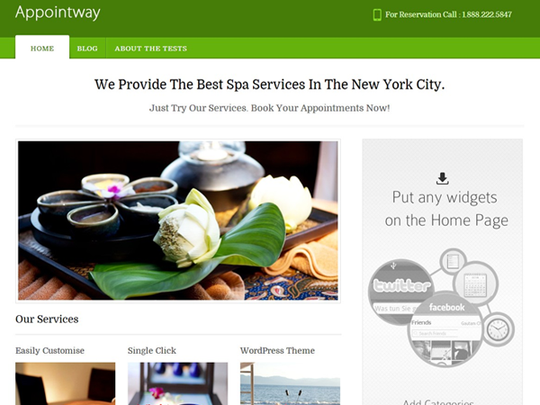 Appointway theme screenshot