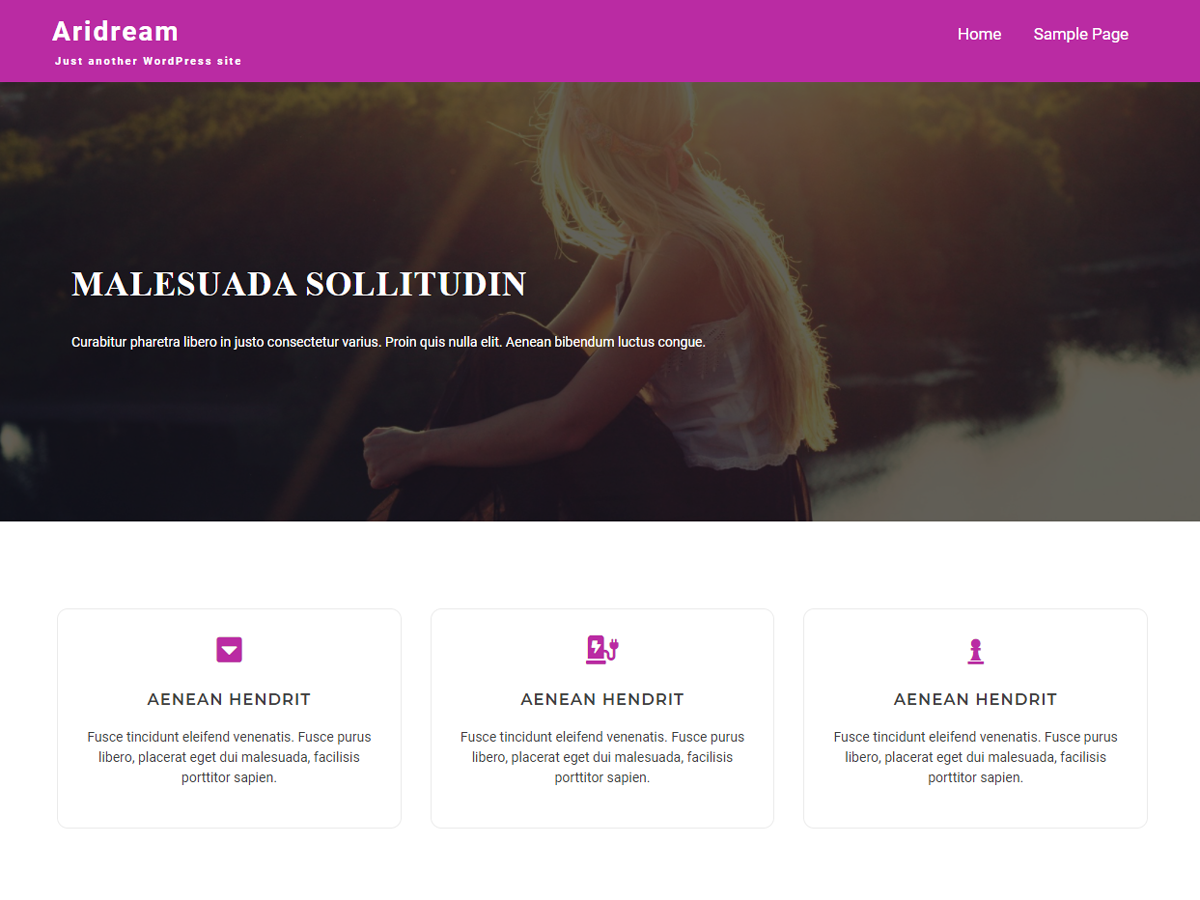 Aridream theme screenshot