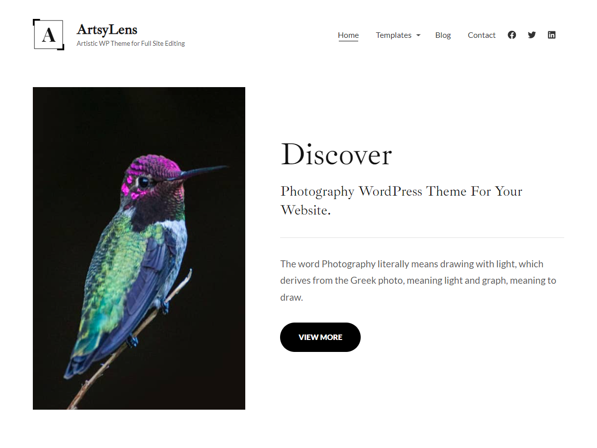 ArtsyLens theme screenshot
