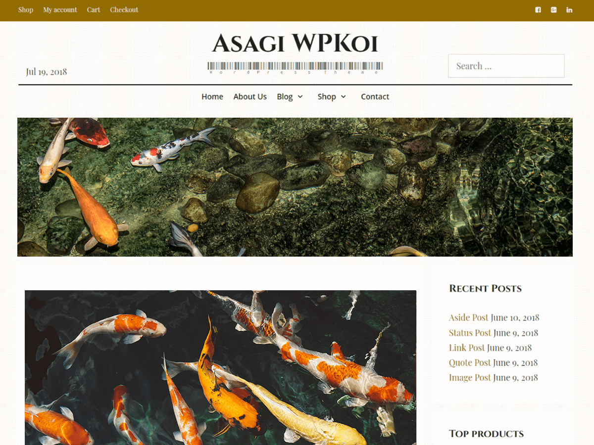 Asagi theme screenshot