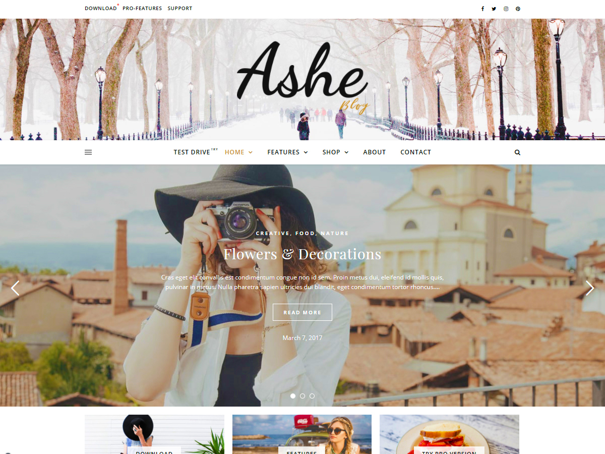 Ashe theme screenshot