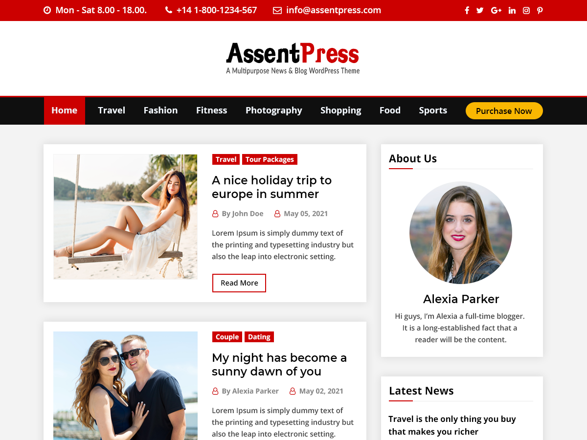 AssentPress theme screenshot