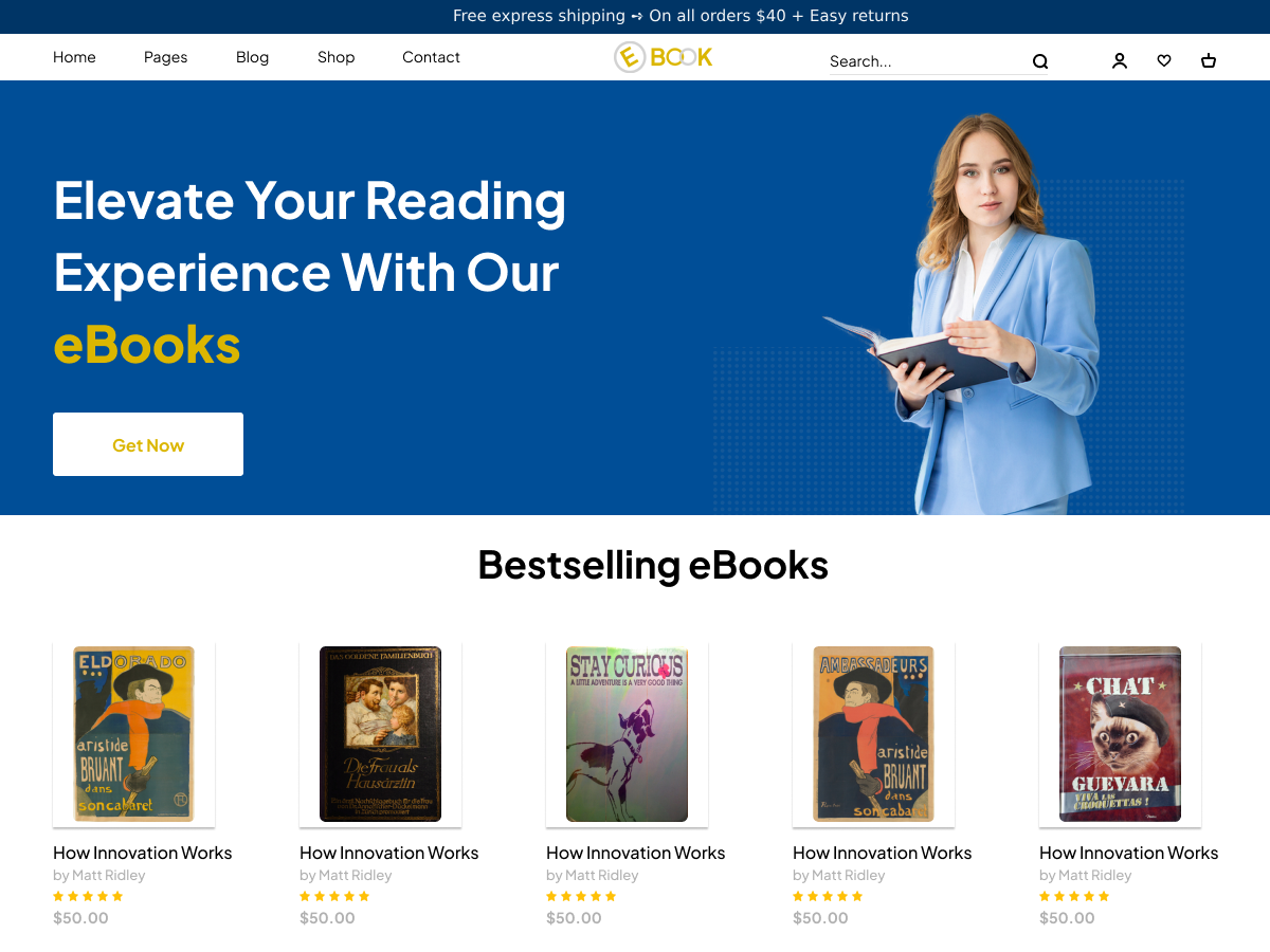 Aster Ebooks theme screenshot