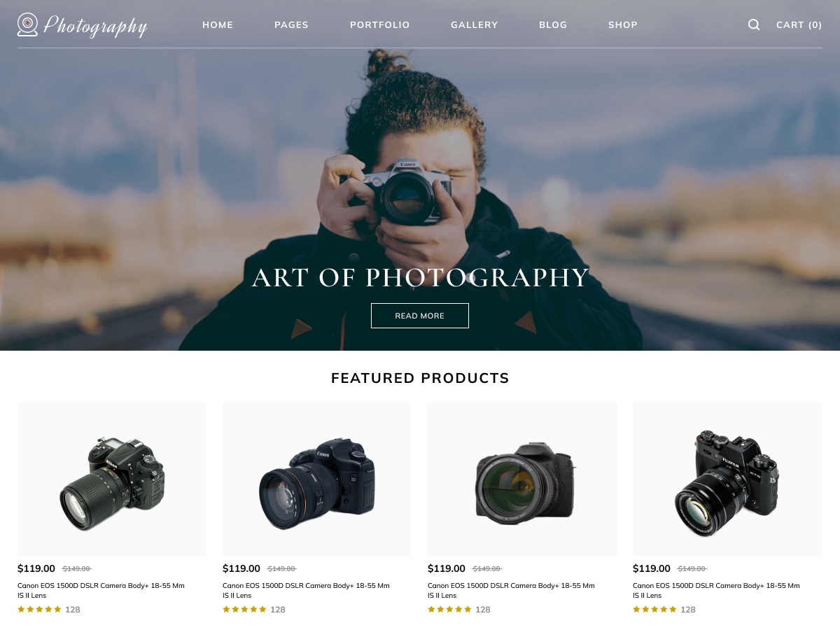 Aster Photography theme screenshot