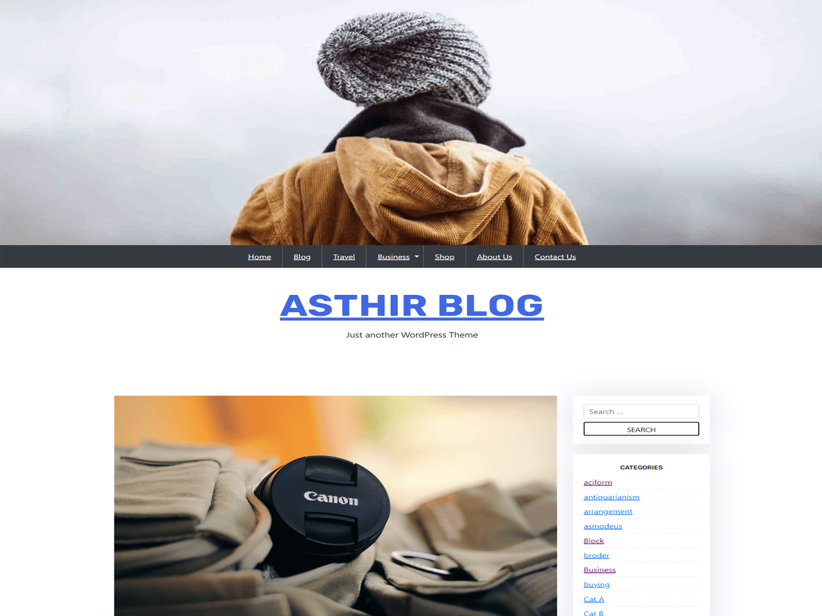 Asthir Blog theme screenshot