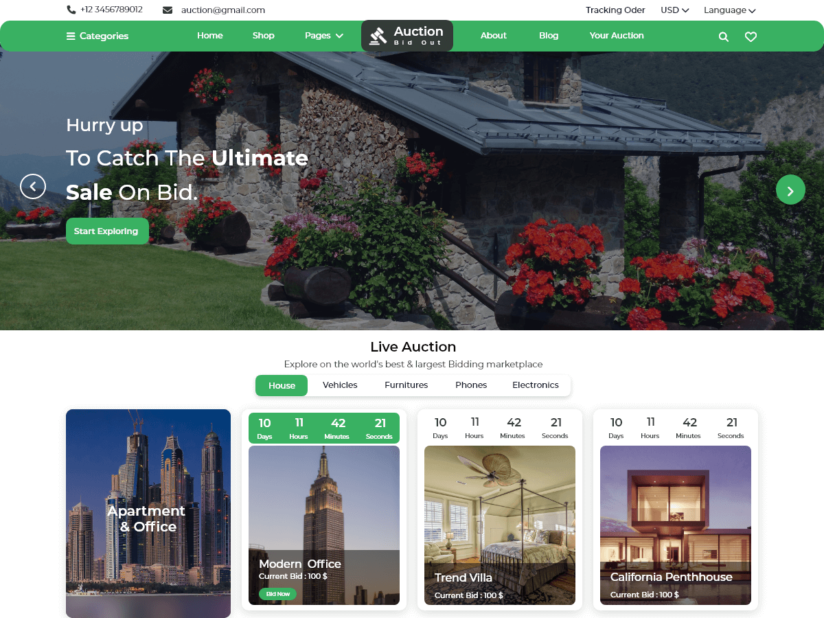 Auction Bidding theme screenshot