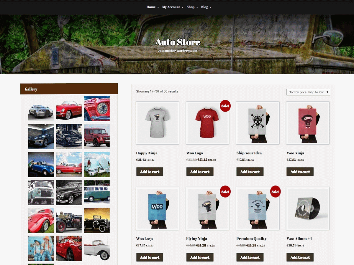 Auto Store theme screenshot