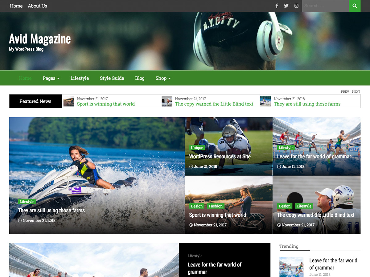 Avid Magazine theme screenshot
