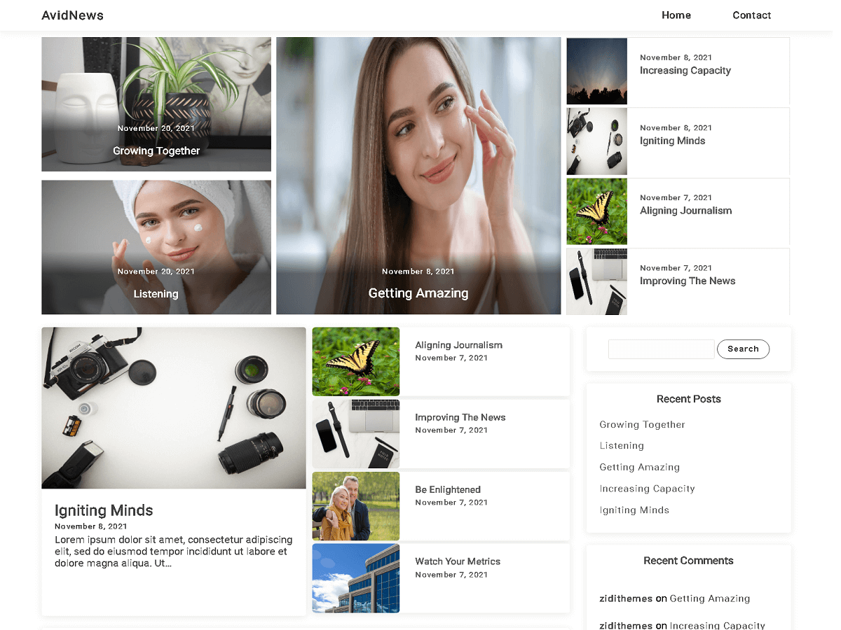 Avidnews theme screenshot