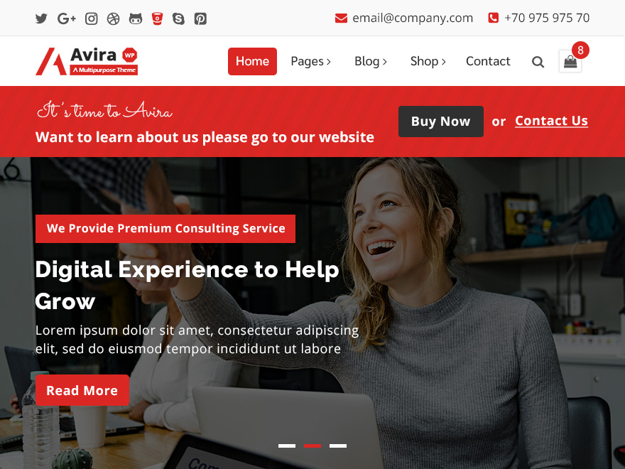 Avira theme screenshot