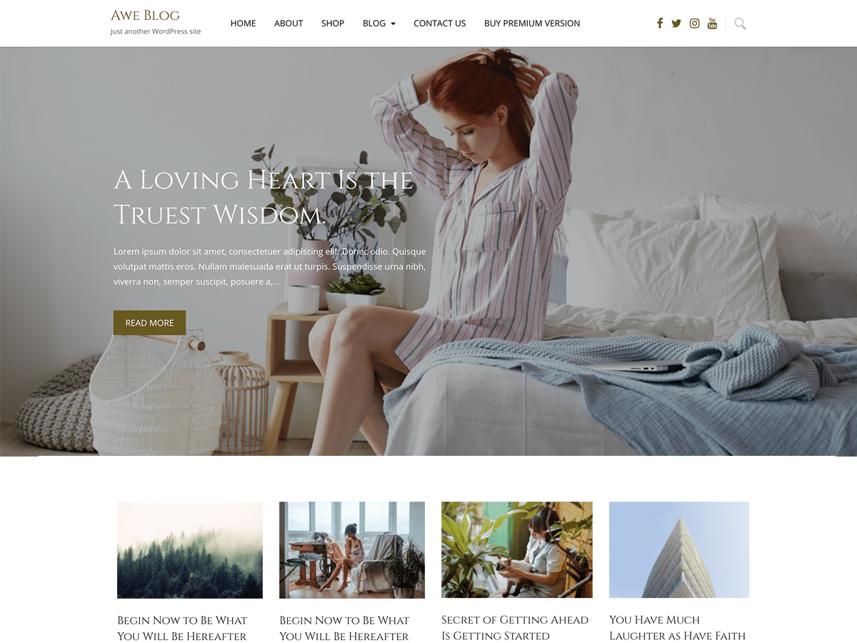 Awe Blog theme screenshot