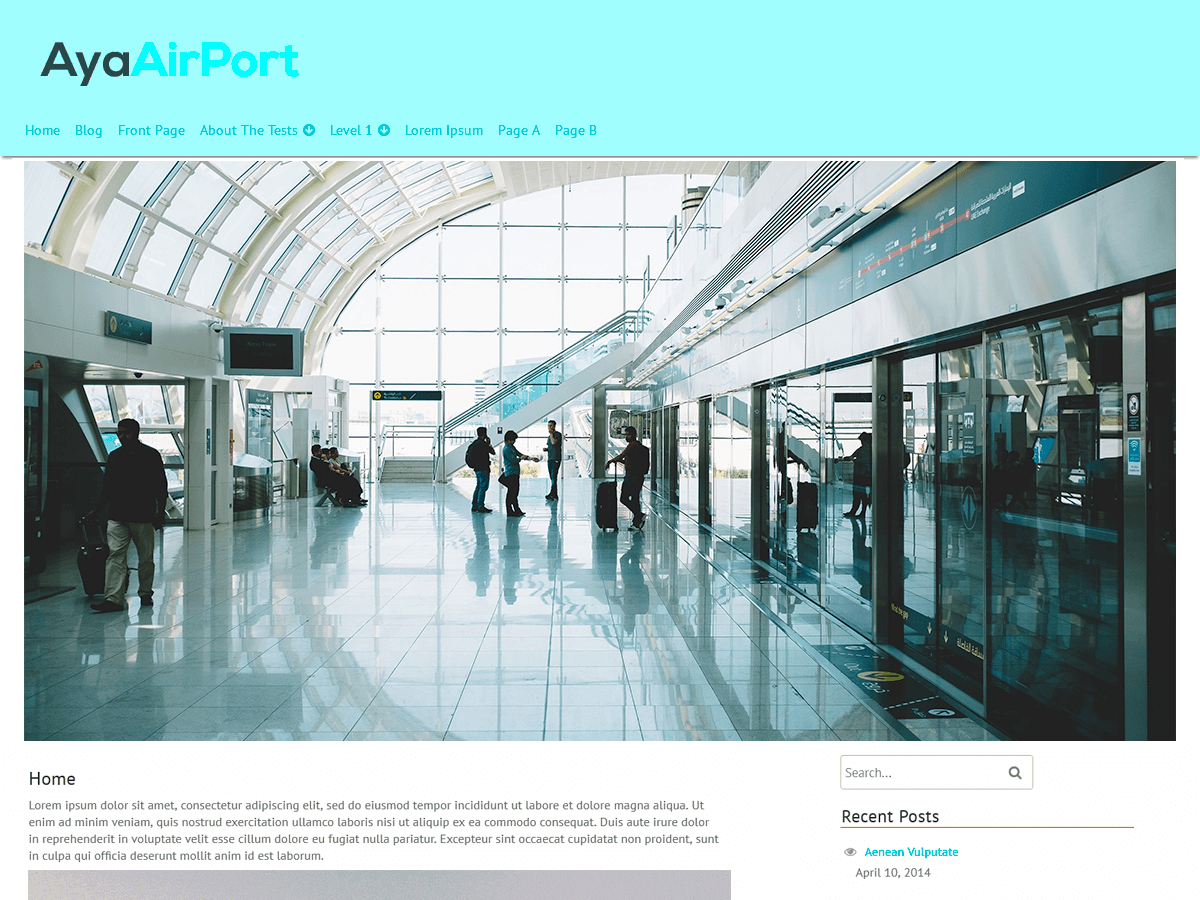 AyaAirPort theme screenshot