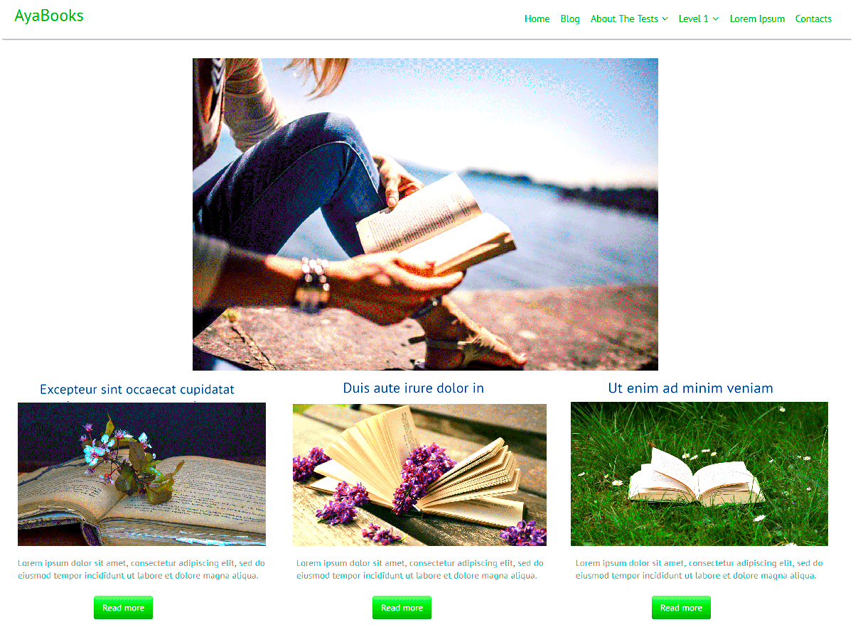AyaBooks theme screenshot