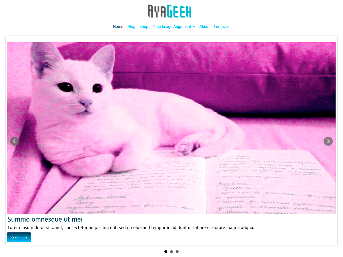 AyaGeek theme screenshot