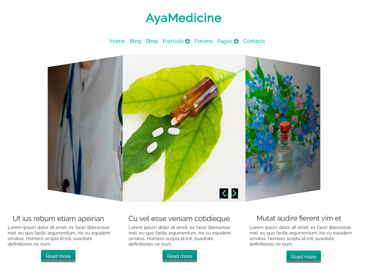 AyaMedicine theme screenshot