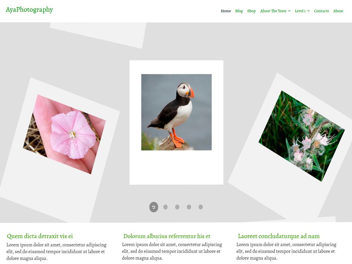 AyaPhotography theme screenshot