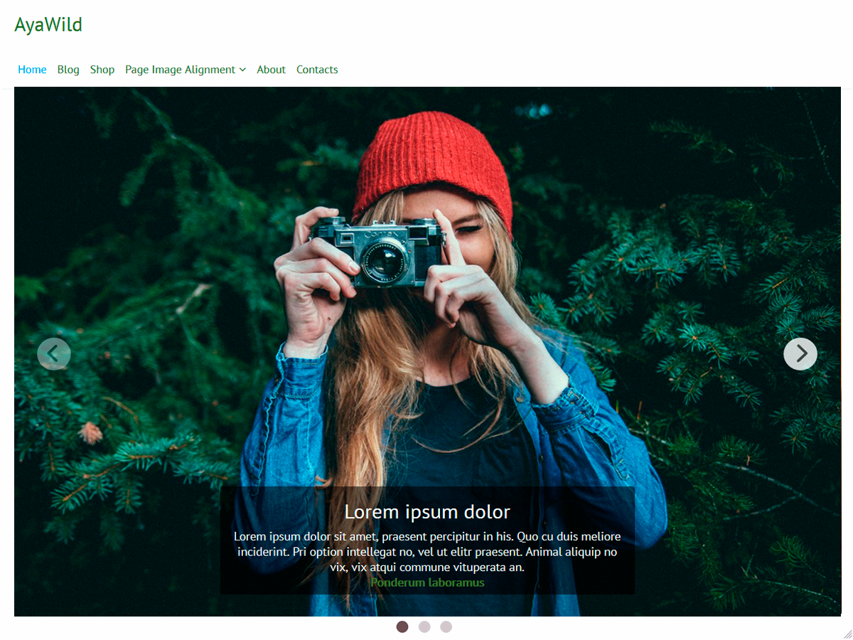 AyaWild theme screenshot