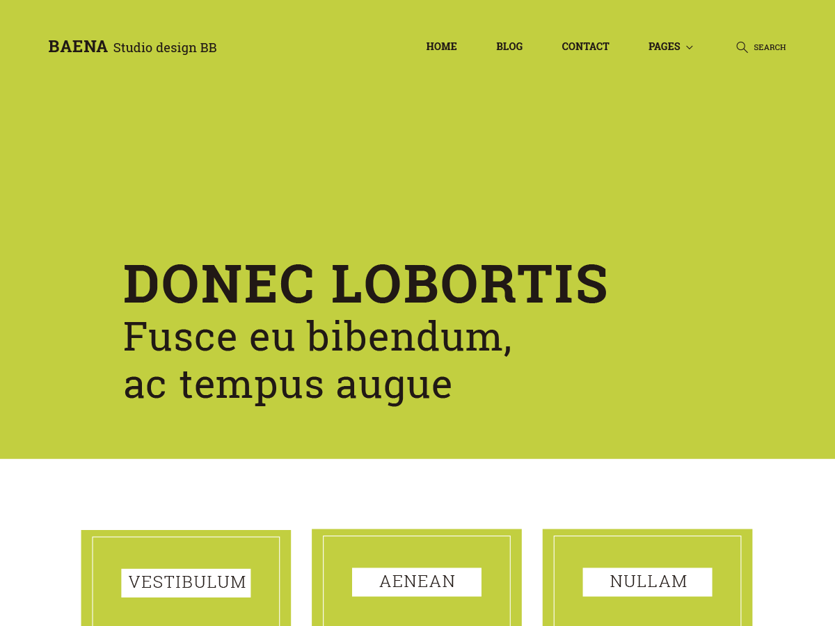 Baena theme screenshot