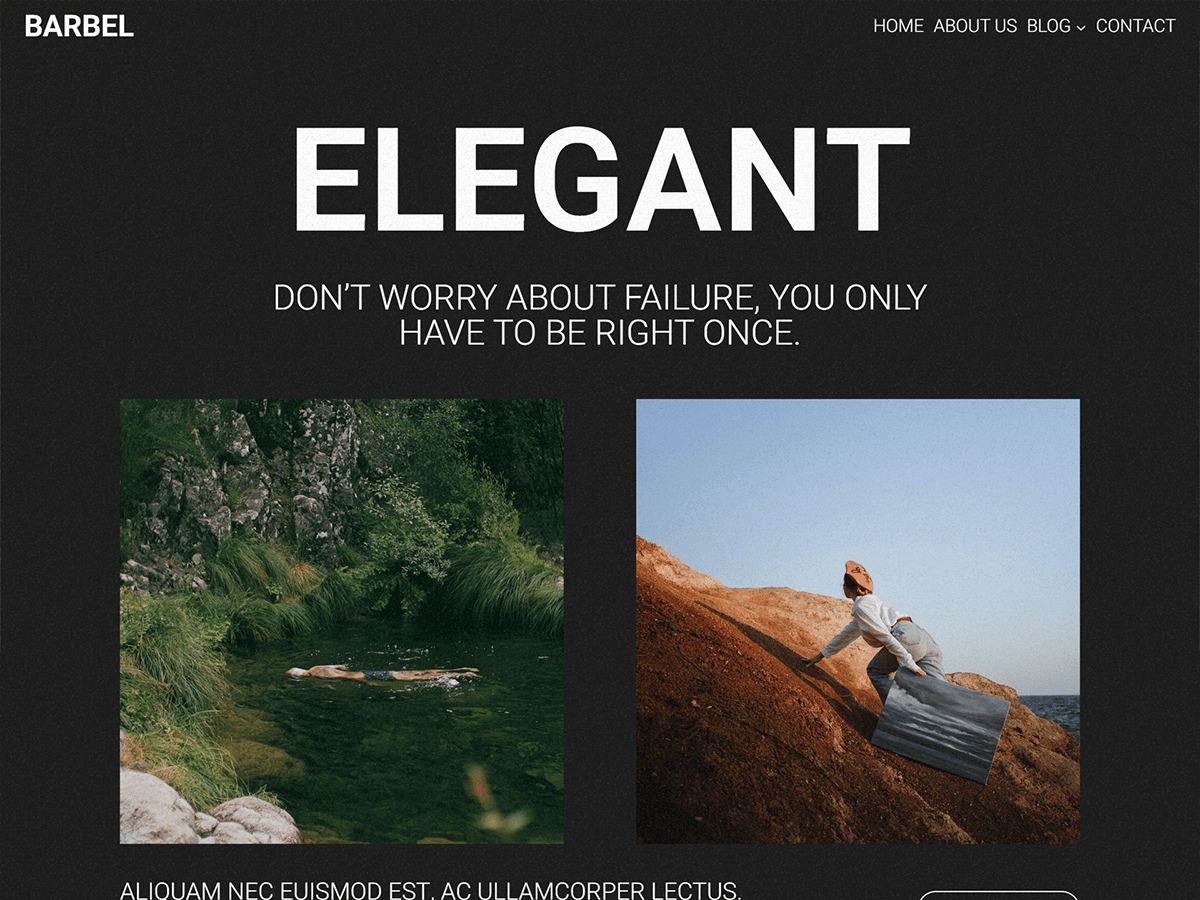 Barbel theme screenshot