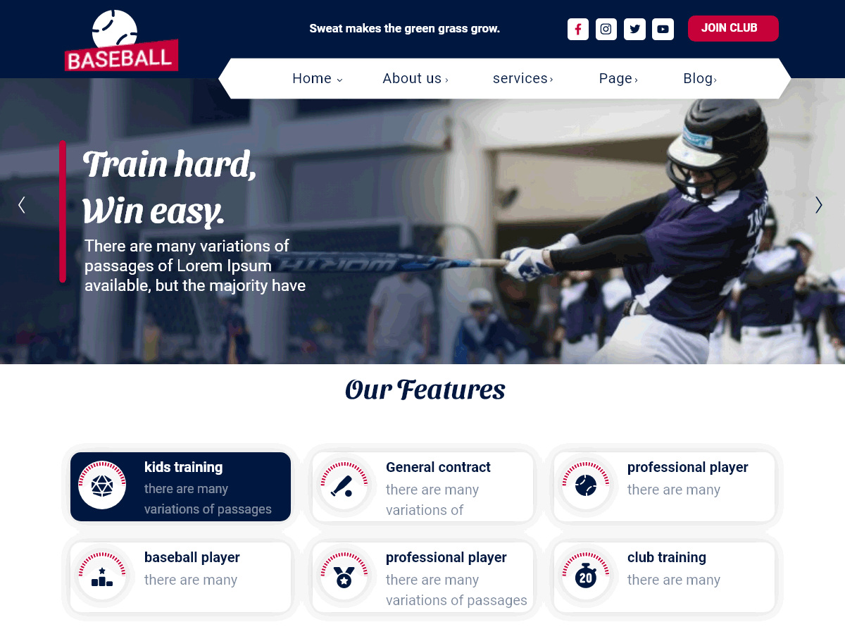 Baseball Club theme screenshot