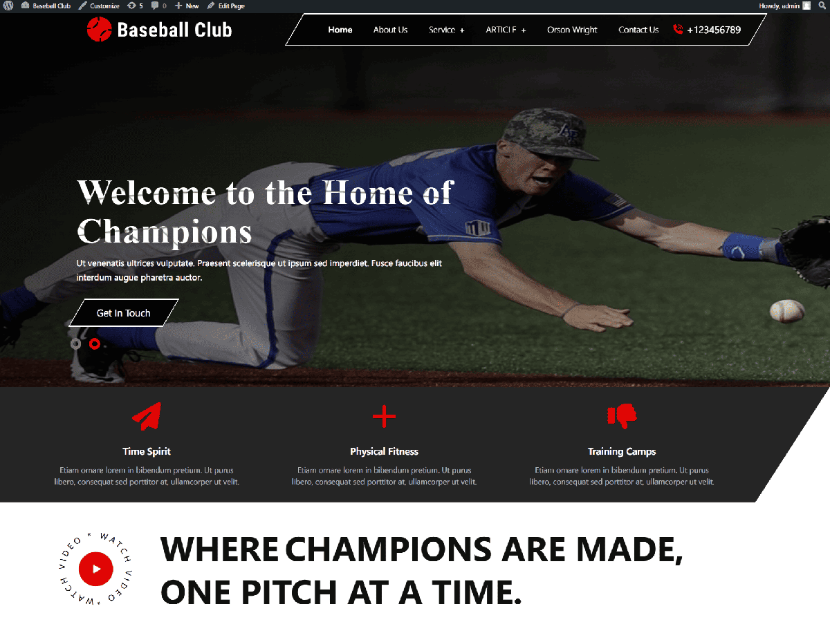 Baseball Sports Club theme screenshot
