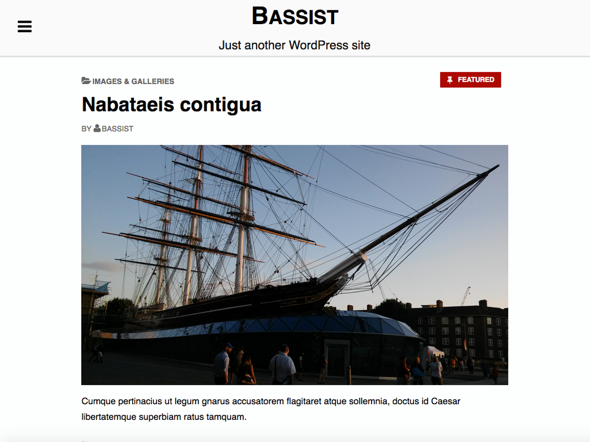 Bassist theme screenshot