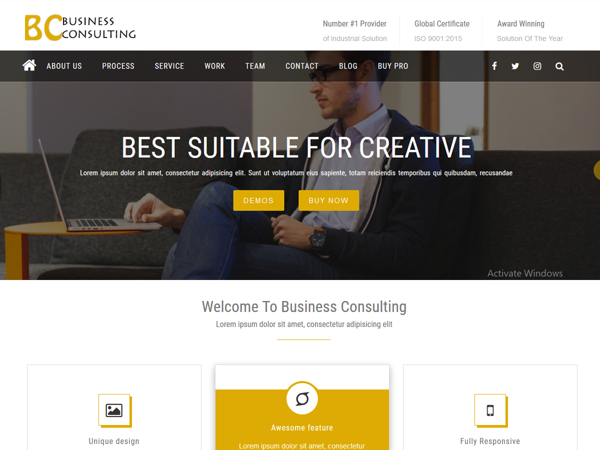 BC Business Consulting theme screenshot