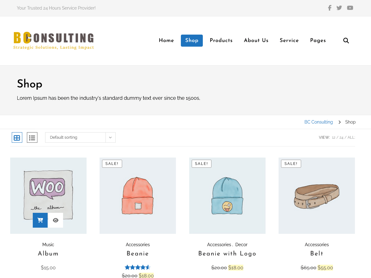 BC Store theme screenshot