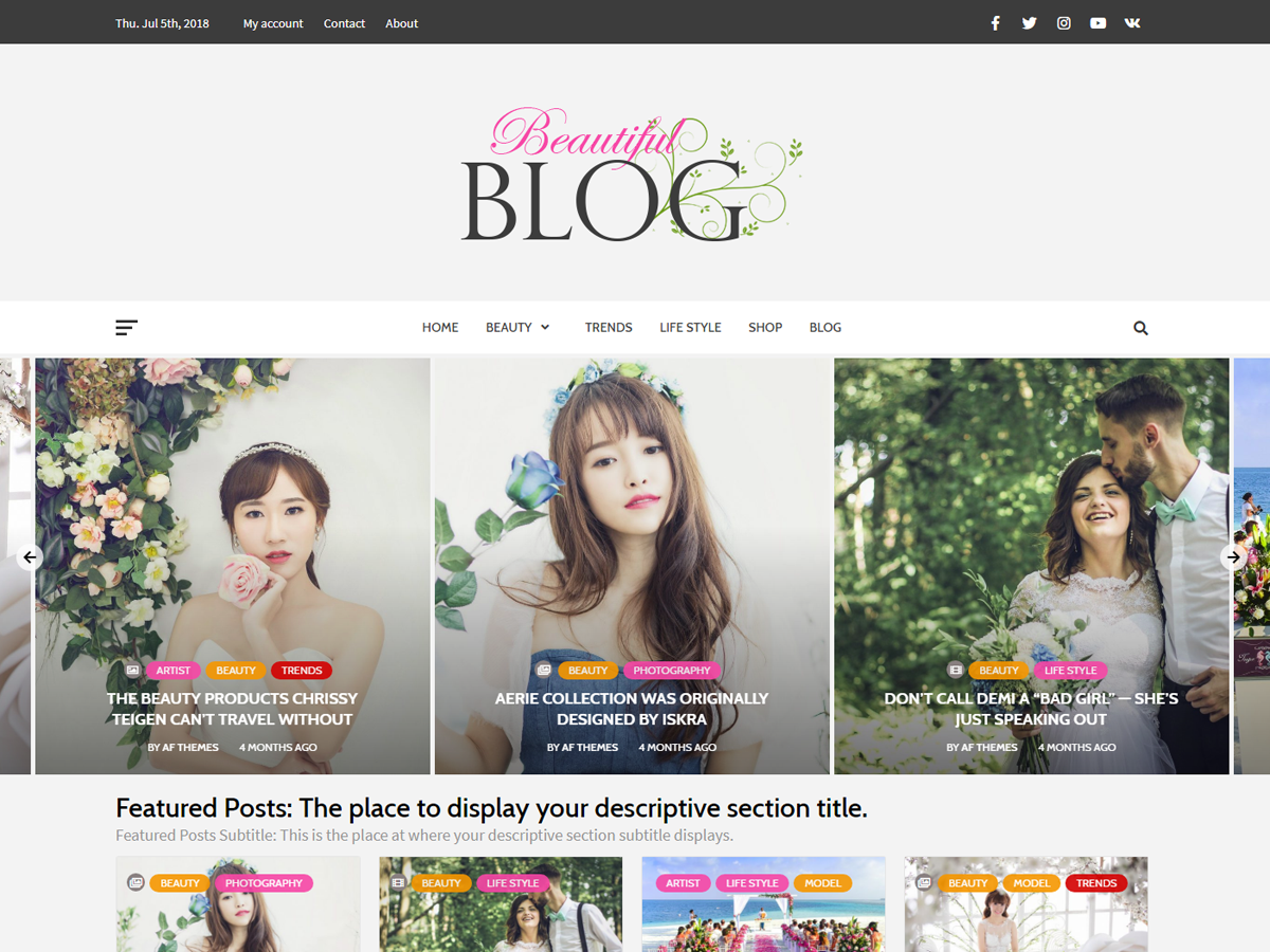 Beautiful Blog theme screenshot