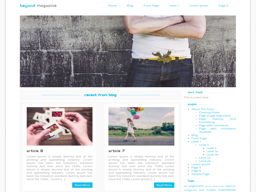 Beyond Magazine theme screenshot