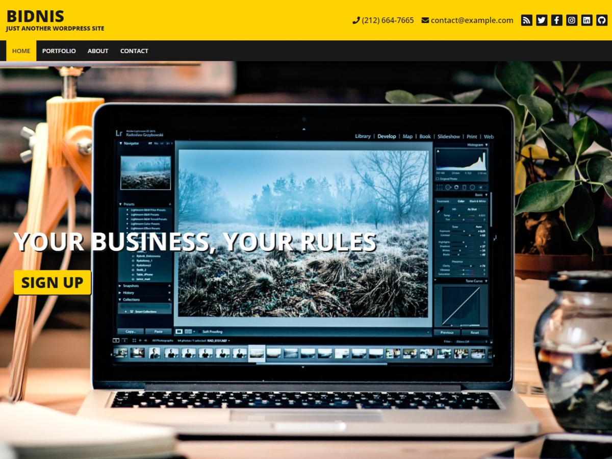 Bidnis theme screenshot