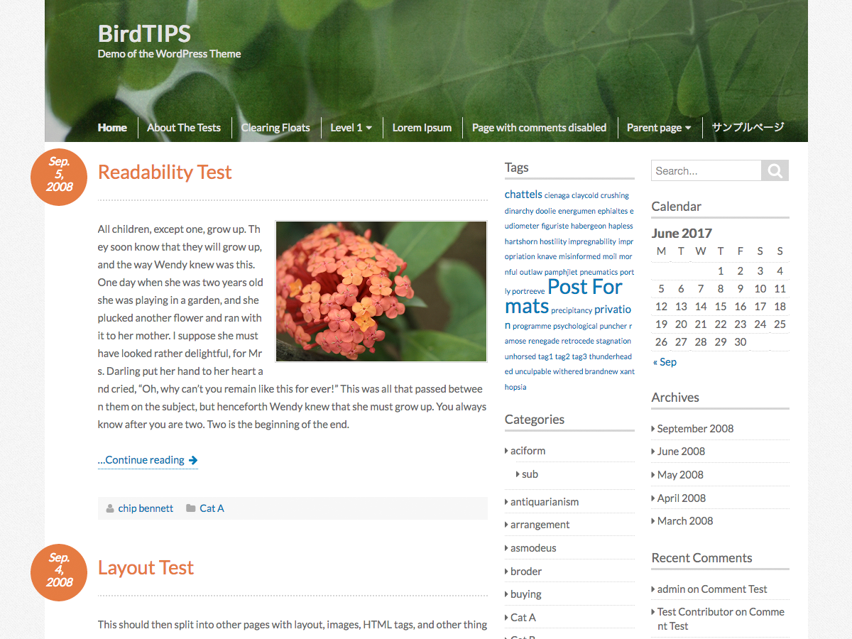 BirdTIPS theme screenshot