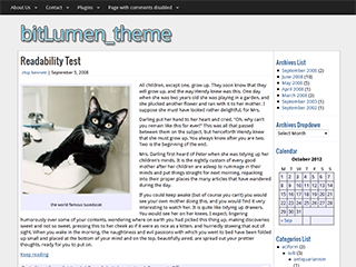 bitLumen theme screenshot
