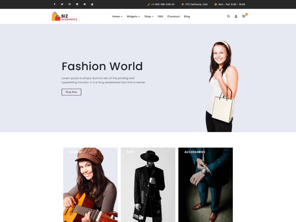 Biz Ecommerce theme screenshot