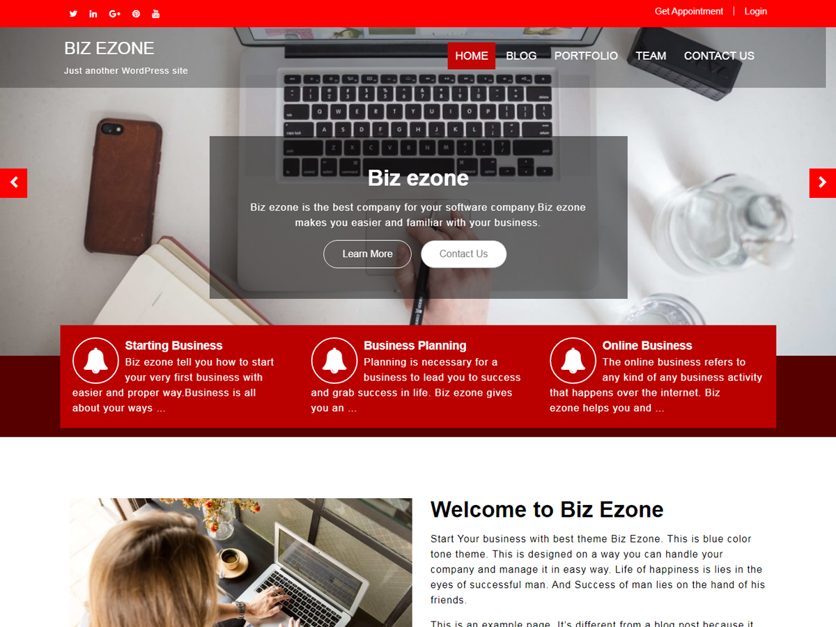 Biz Ezone theme screenshot