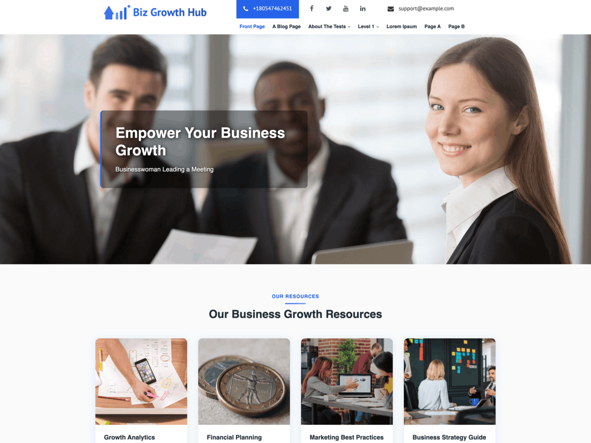 Biz Growth Hub Lite theme screenshot