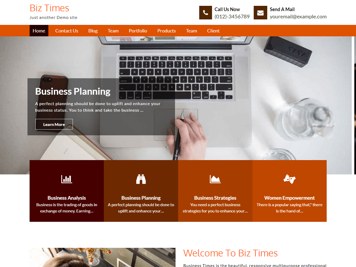 Biz Times theme screenshot